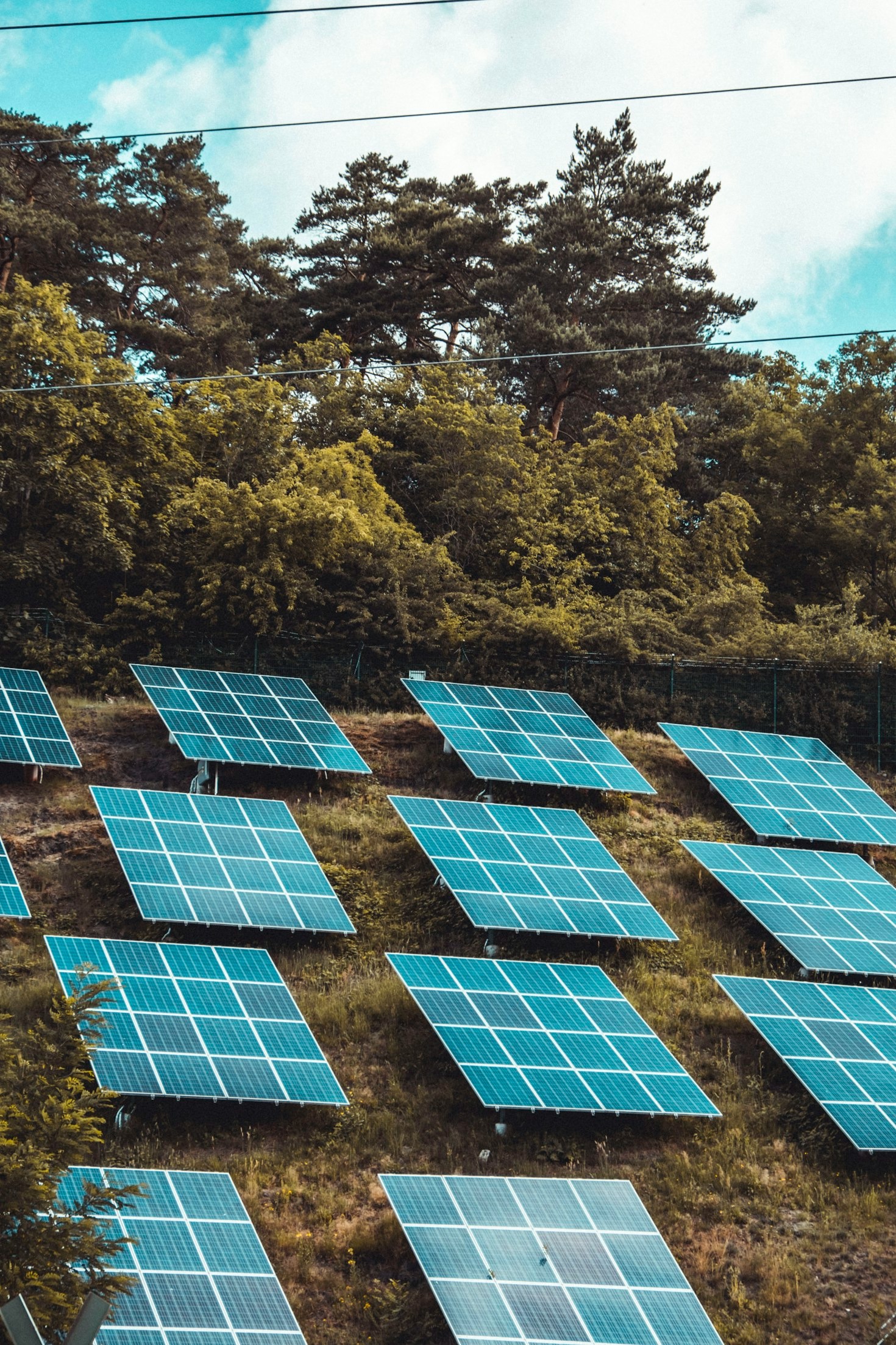 Training for the Future: Sustainable Energy Skills